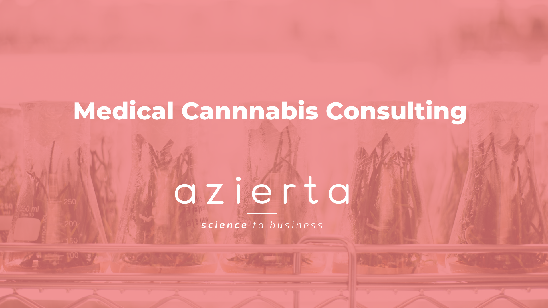 Medical Cannabis Consulting